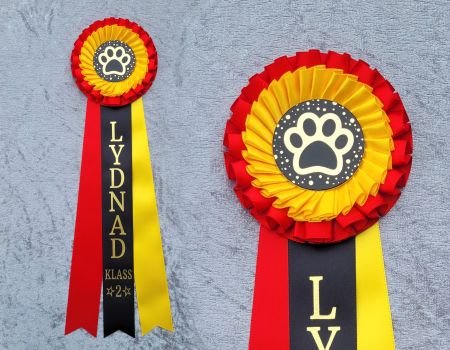 Lydnad klass 2 (HK1)