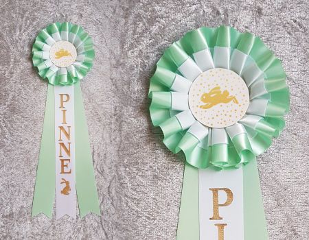 Pinne - STD