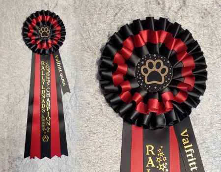 Rallylydnad + Namnband  STDL5