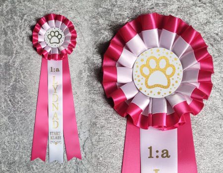 1:a Lydnad Startklass - Hund HSTD