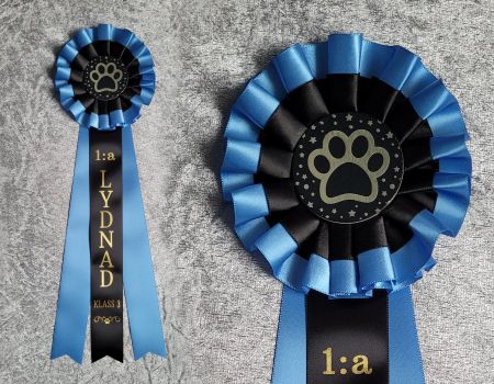 1:a Lydnad Klass 3 - Hund HSTD