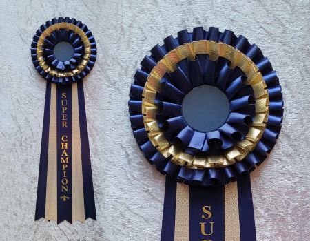 Super Champion - Kanin 3T5M