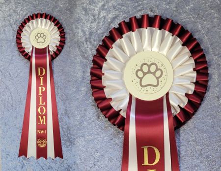 Diplom Nosework -  Hund L2306