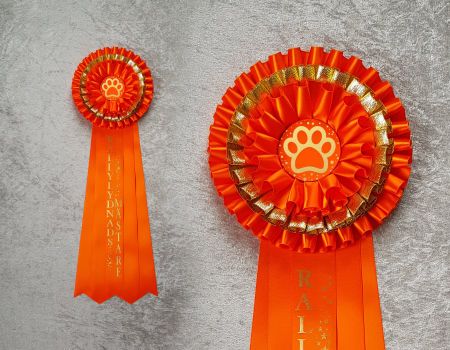 Rallylydnads Mästare - Hund 3T5
