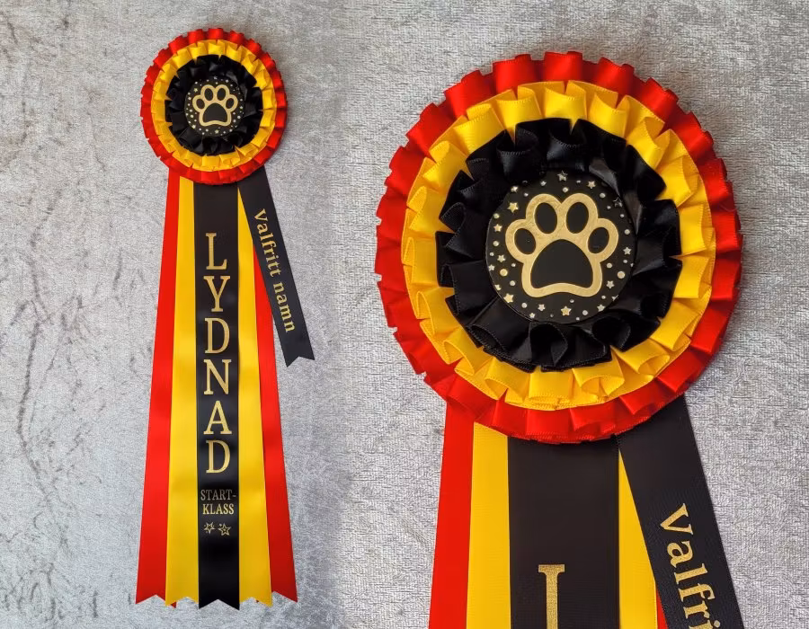 Lydnad, olika klasser med namnband - L1964NB