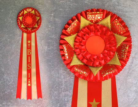 BIS (Best in show) - hund HK5