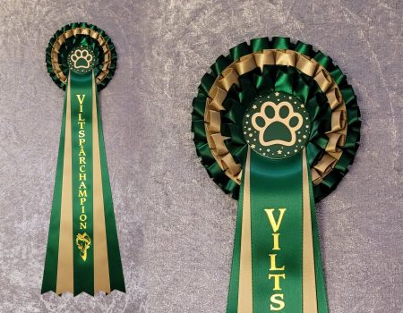 Viltspårchampion - hund, L2324