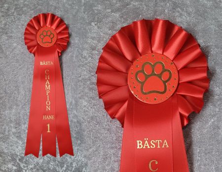 Bästa Champion Tik eller Hane - ST2