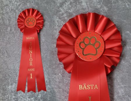 Bästa Junior Tik eller Hane - ST2