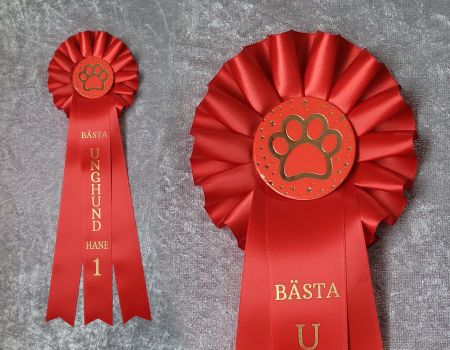 Bästa Unghund Tik eller Hane - ST2