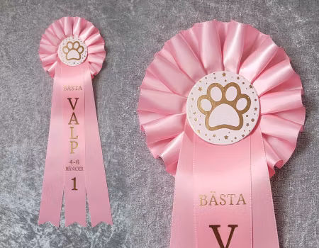 Bästa Valp 4-6 månader - ST2