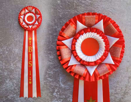 BIS (Best in show) - hund HK6