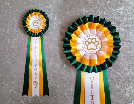 Viltspårchampion - STDL5