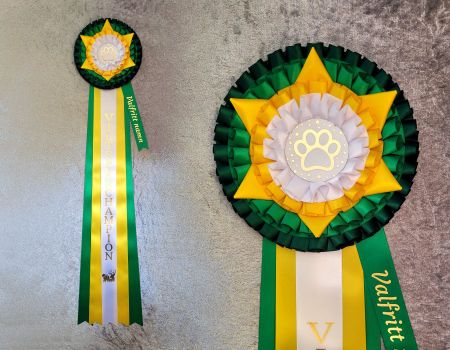 Viltspårchampion med namnband - L2240
