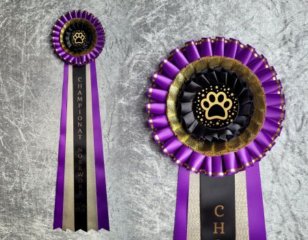 Championat Nosework - HK19