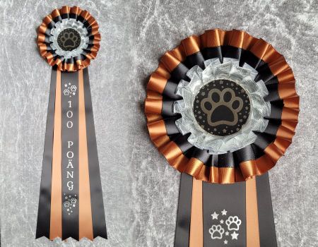 100 Poäng - L1611 Aztec silver