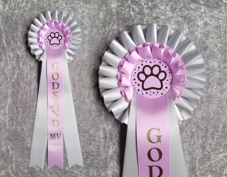 Godkänd MV -  HK8