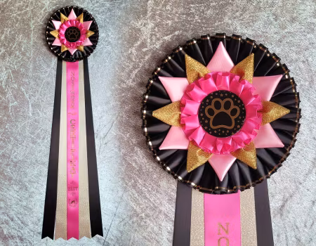 Nosework Certifikat Elit -  HK24