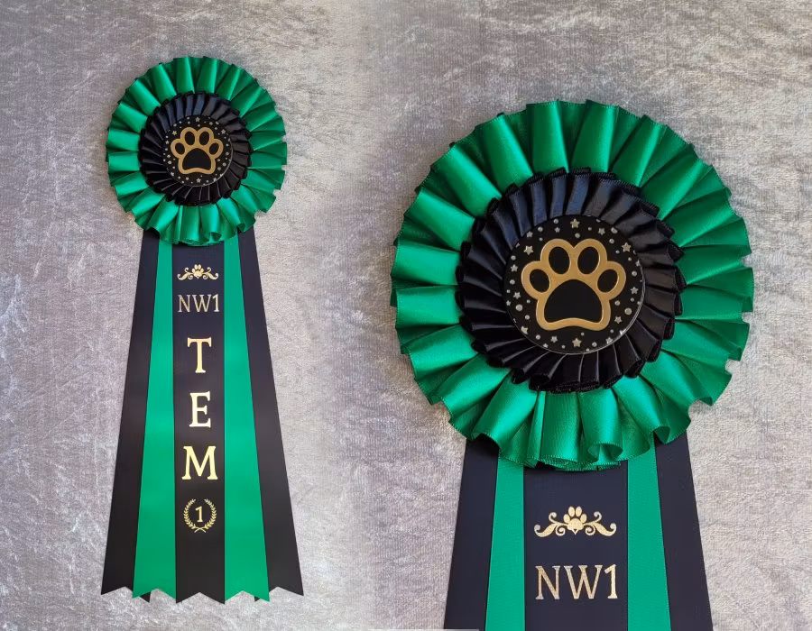 NW1 - NW3 TEM - 1:a plats - HK20