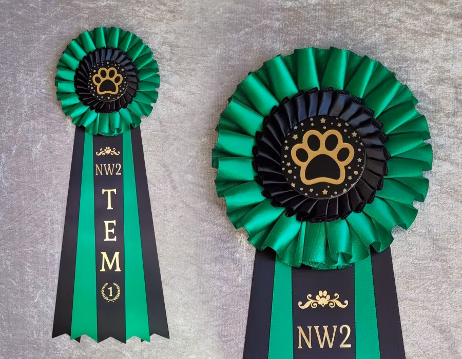 NW1 till NW3 TEM - 2:a plats - HK20