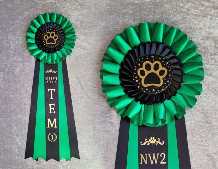 NW1 till NW3 TEM - 2:a plats - HK20