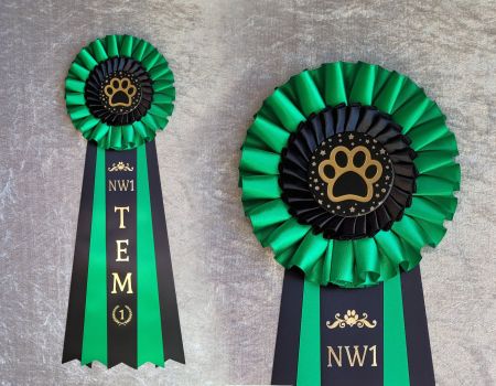NW1 till NW3 TEM - 3:e plats - HK20