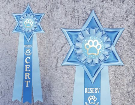R CERT - HK13