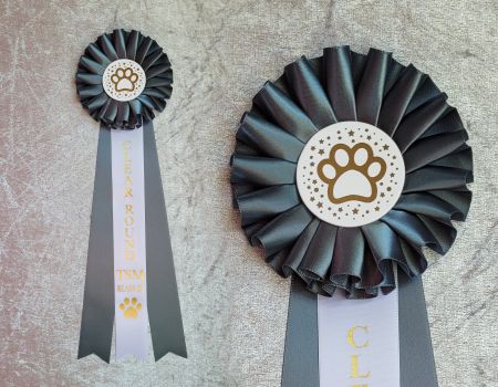 Clear Round TSM Klass 3 - ST4