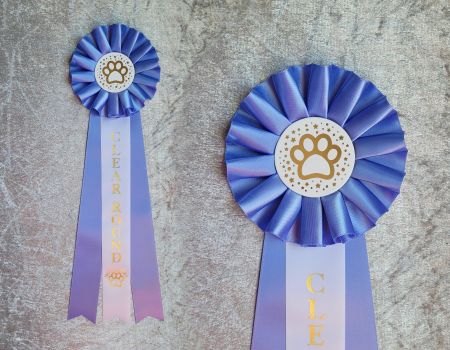 Clear Round NW1 - ST4