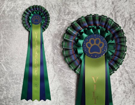 Viltspårchampion - HK9