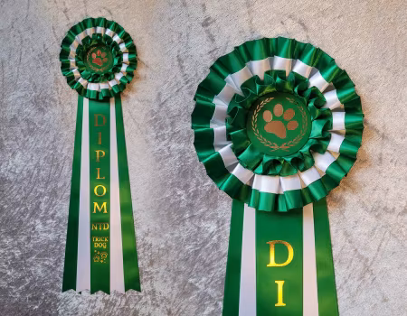 Diplom Trick Dog - L262