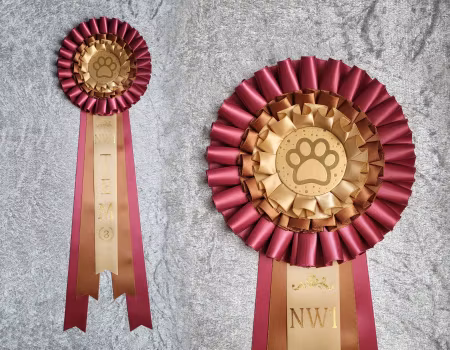 NW1 TEM - Plac. 1 till 3 - L2611