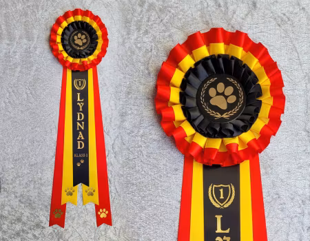 Lydnad Start till Elit samt placering - L2612