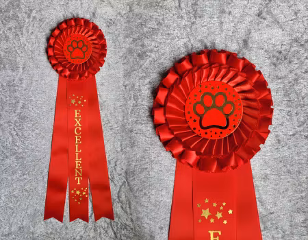 Kvalitetsbedömning + stjärnor - HK1