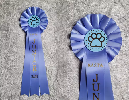 Bästa Junior Hane - ST2