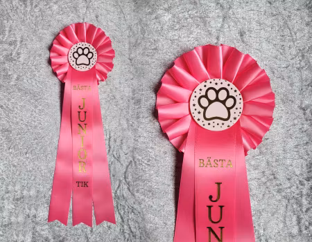 Bästa Junior Tik - ST2