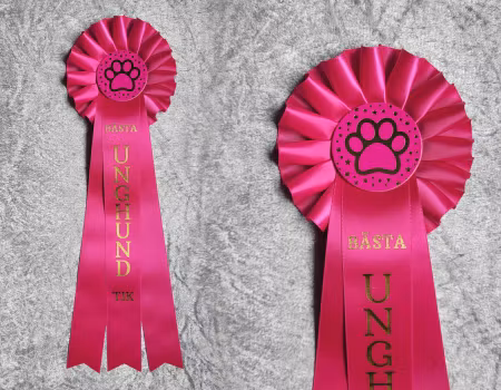 Bästa Unghund Tik - ST2