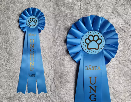 Bästa Unghund Hane - ST2