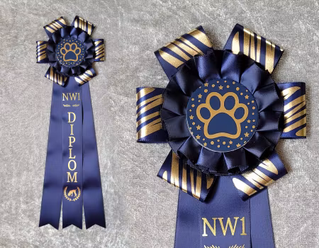 Nosework 1-3 Diplom - SP2