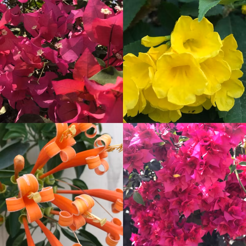Colours of India- a source of inspiration!