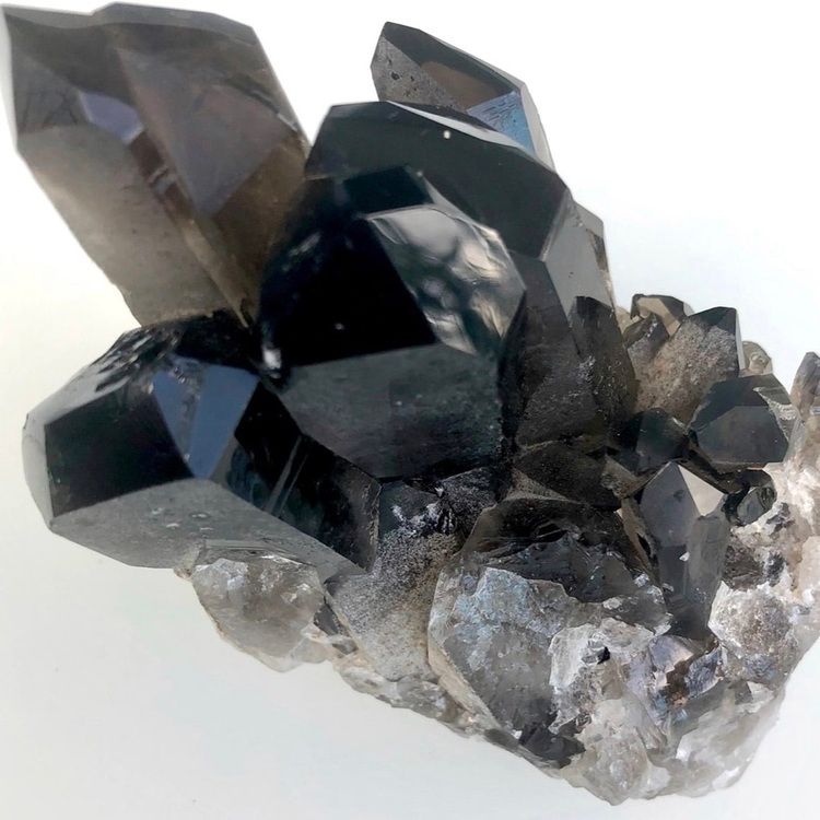 Pendant CLAW with Smokey Quartz