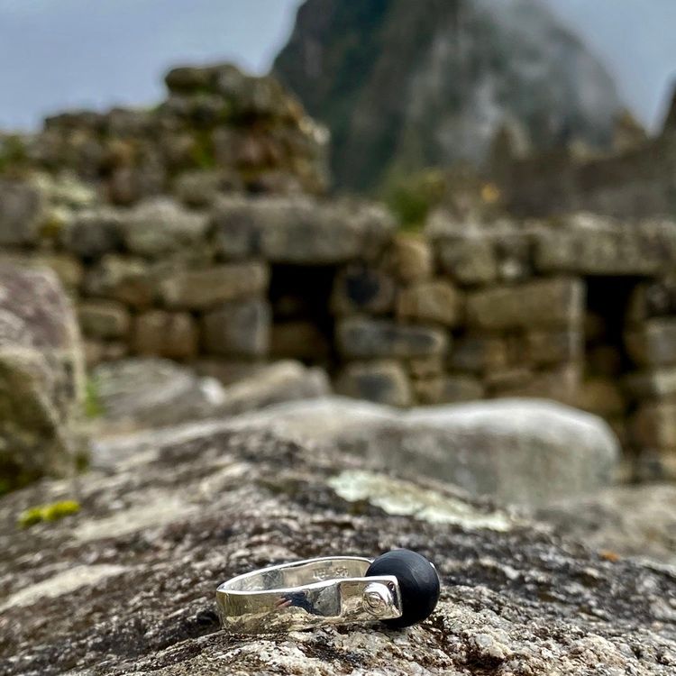 Ring SPIN