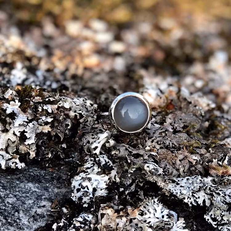Earrings/ Studs HOLI Grey moonstone