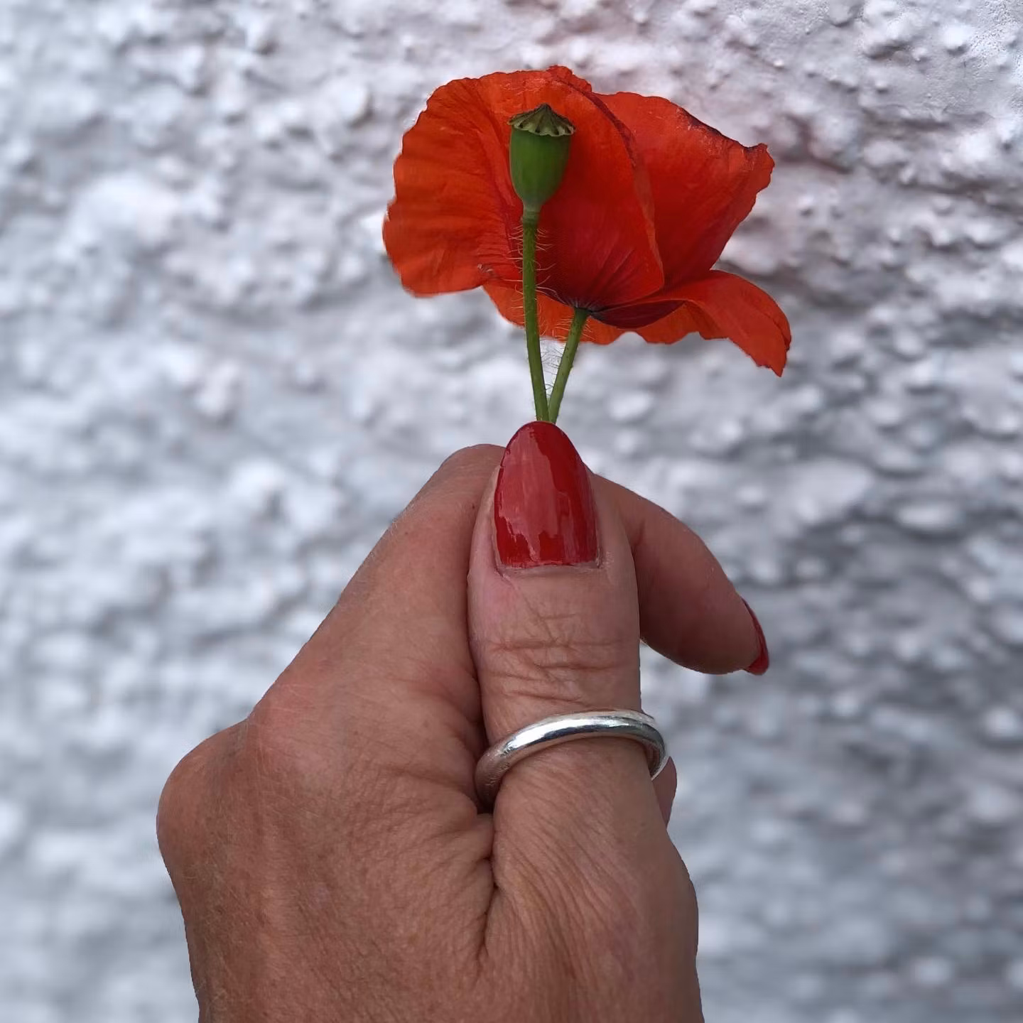 Ring RING RING