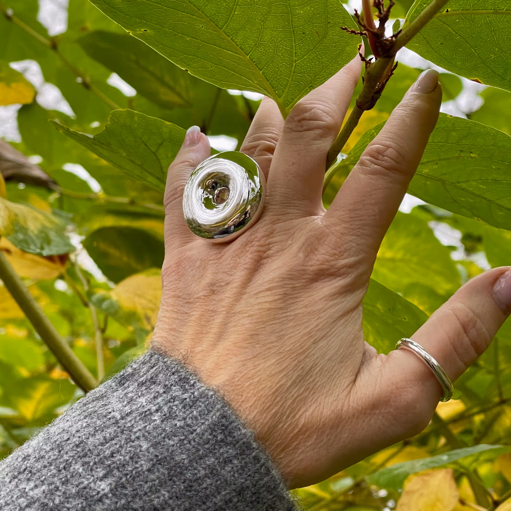 Ring DOUGHNUT