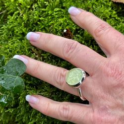 Ring HOLI Stor Prehnit
