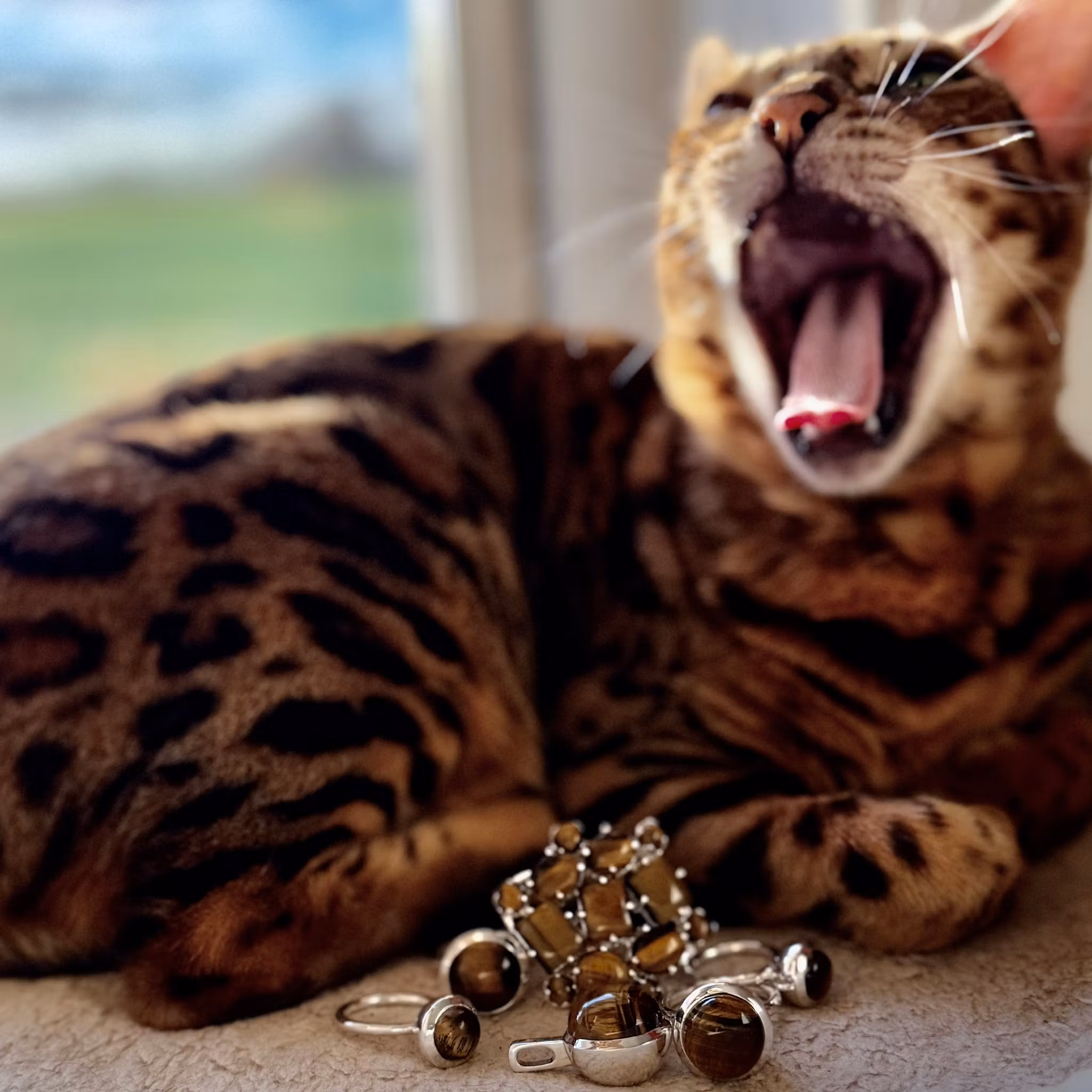 Örhängen/ Studs HOLI Tigeröga