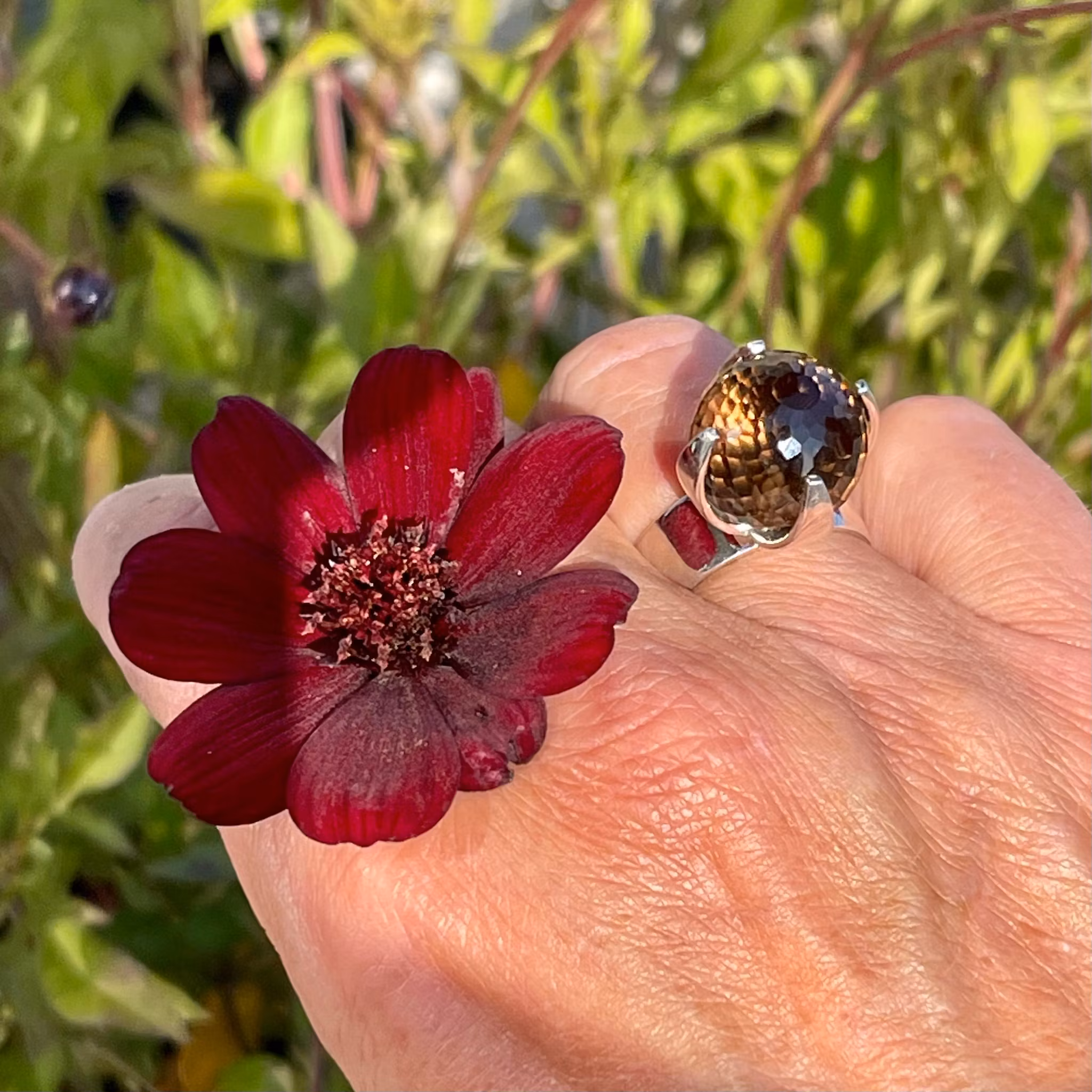 Ring CLAW med Rökkvarts