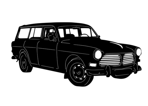 Volvo Amazon-Kombi