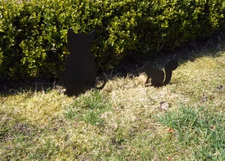 Sittande svart katt och en svart ekorre i plåt som är nedstuckna i marken.